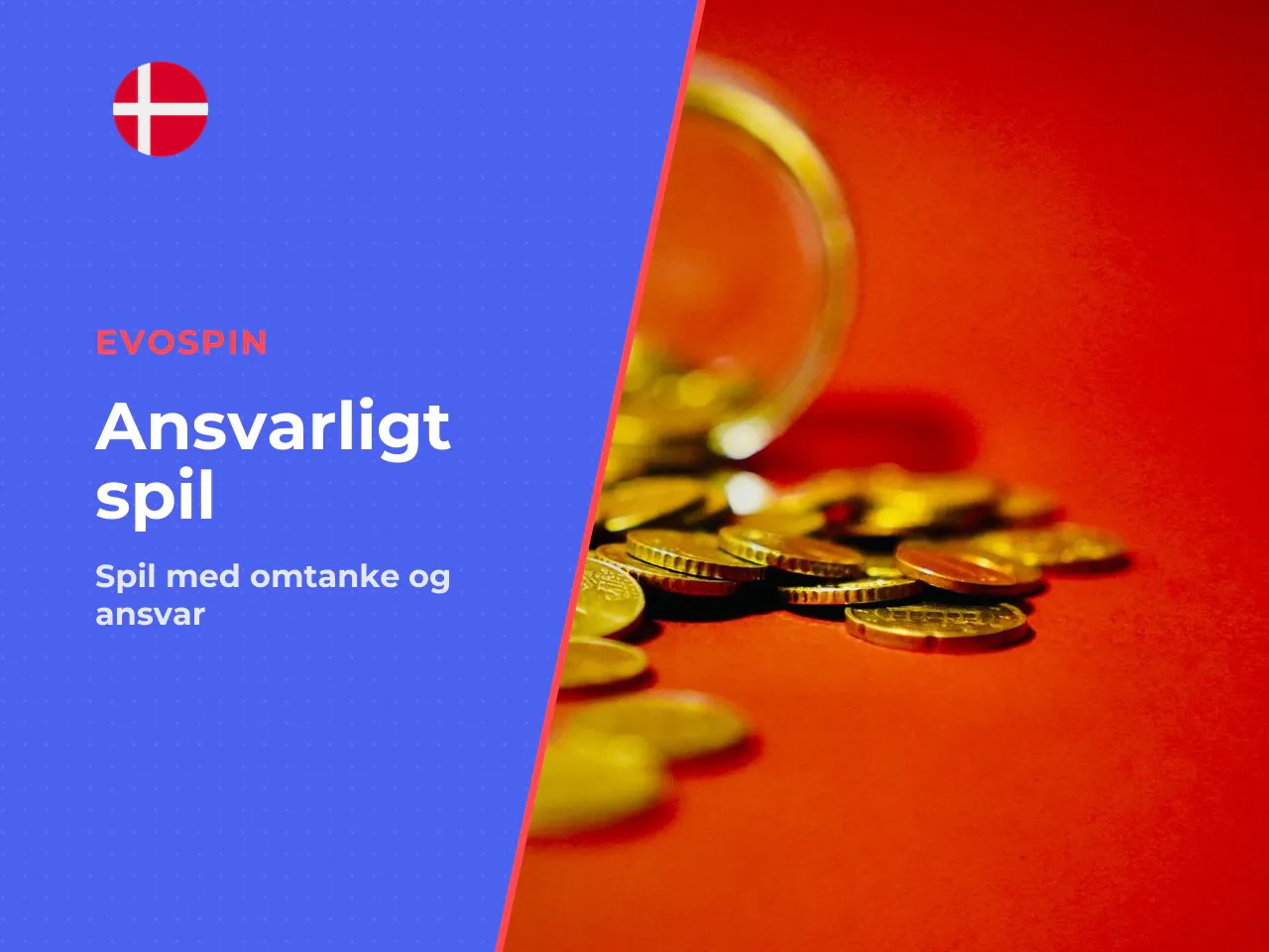Slutkonklusion og ansvarligt spil. EvoSpin tilbyder