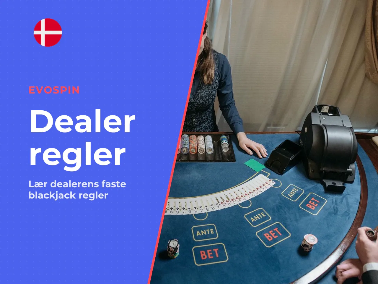 Dealerens regler og særlige blackjack-regler. Modsat