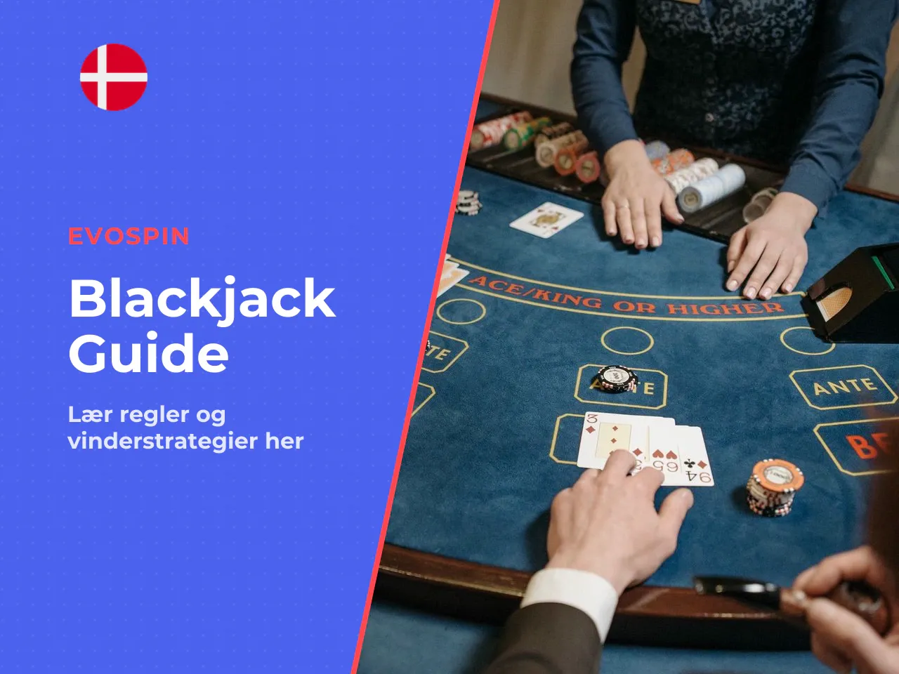 Hvad denne guide dækker, og hvorfor