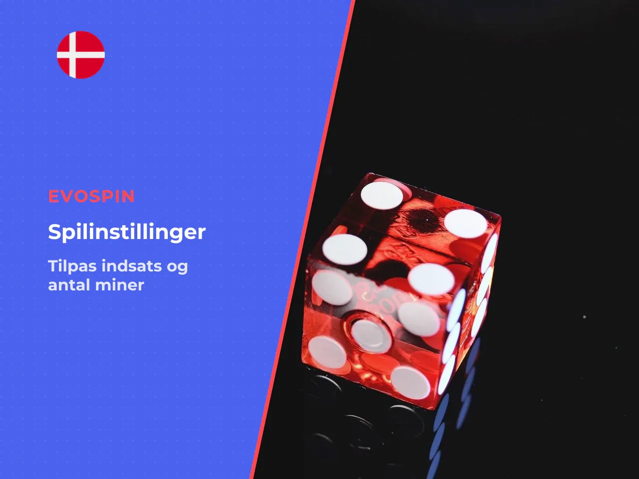 1. Vælg indsatsstørrelse Indtast det beløb