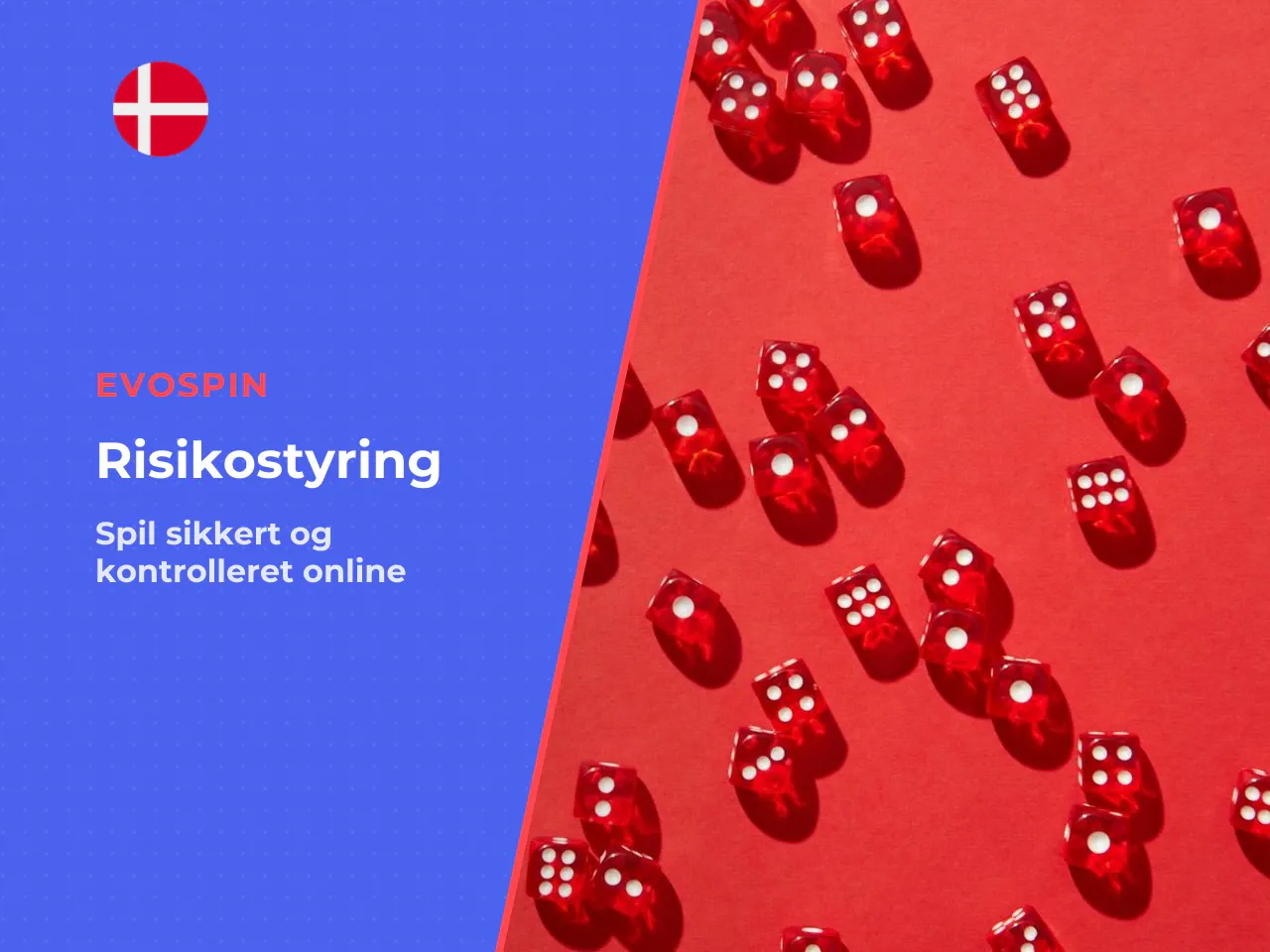 Tjekliste risikostyring før spil. - Afprøv