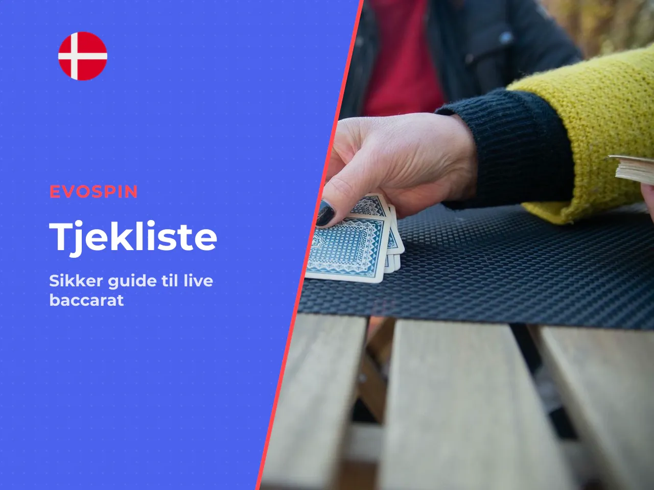 FACT CHECK Tjekliste før valg af