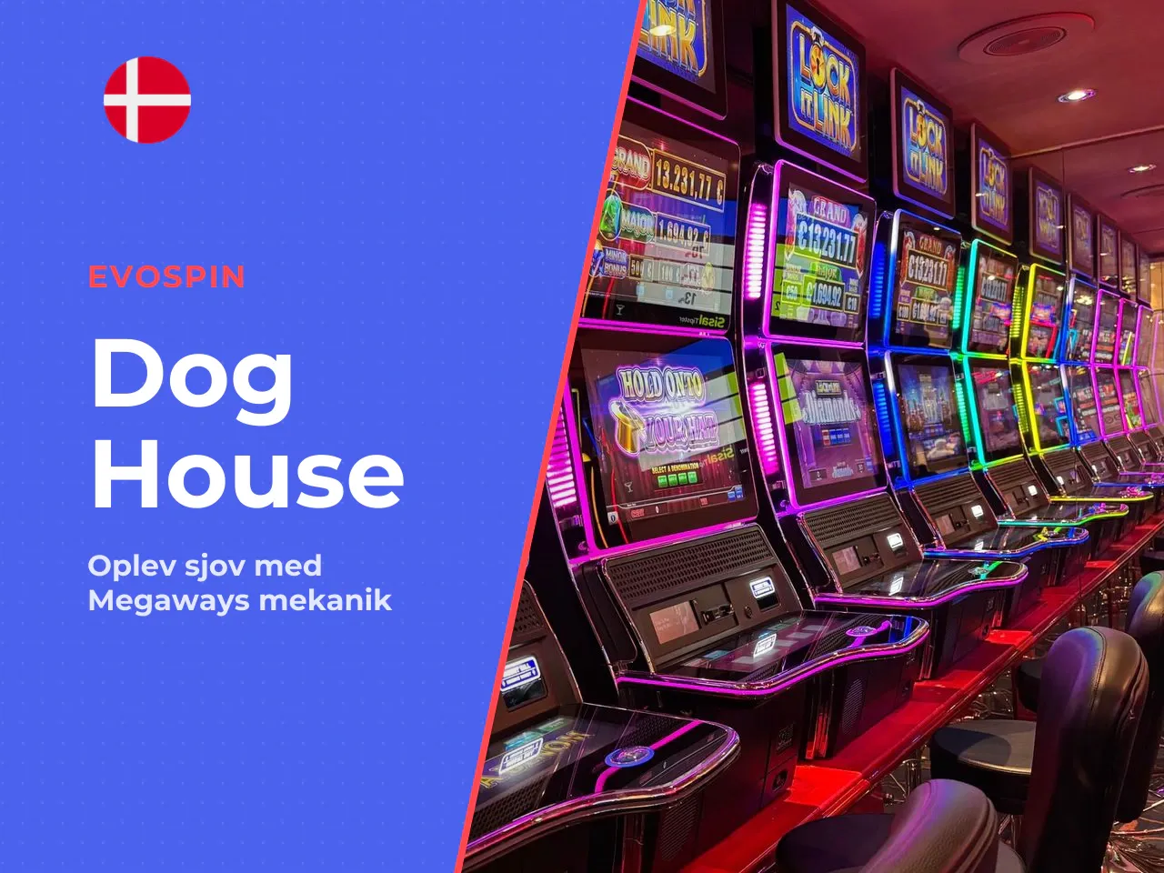 Hvad er The Dog House Megaways