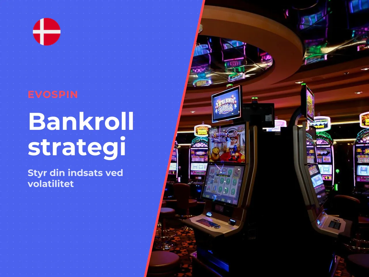 Ekspert-tip til bankroll management ved meget