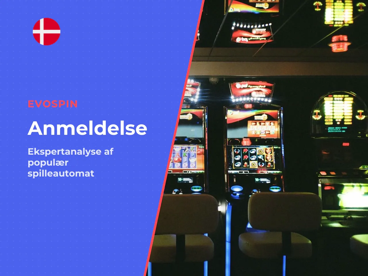 Om denne anmeldelse. Gennemgangen er udarbejdet