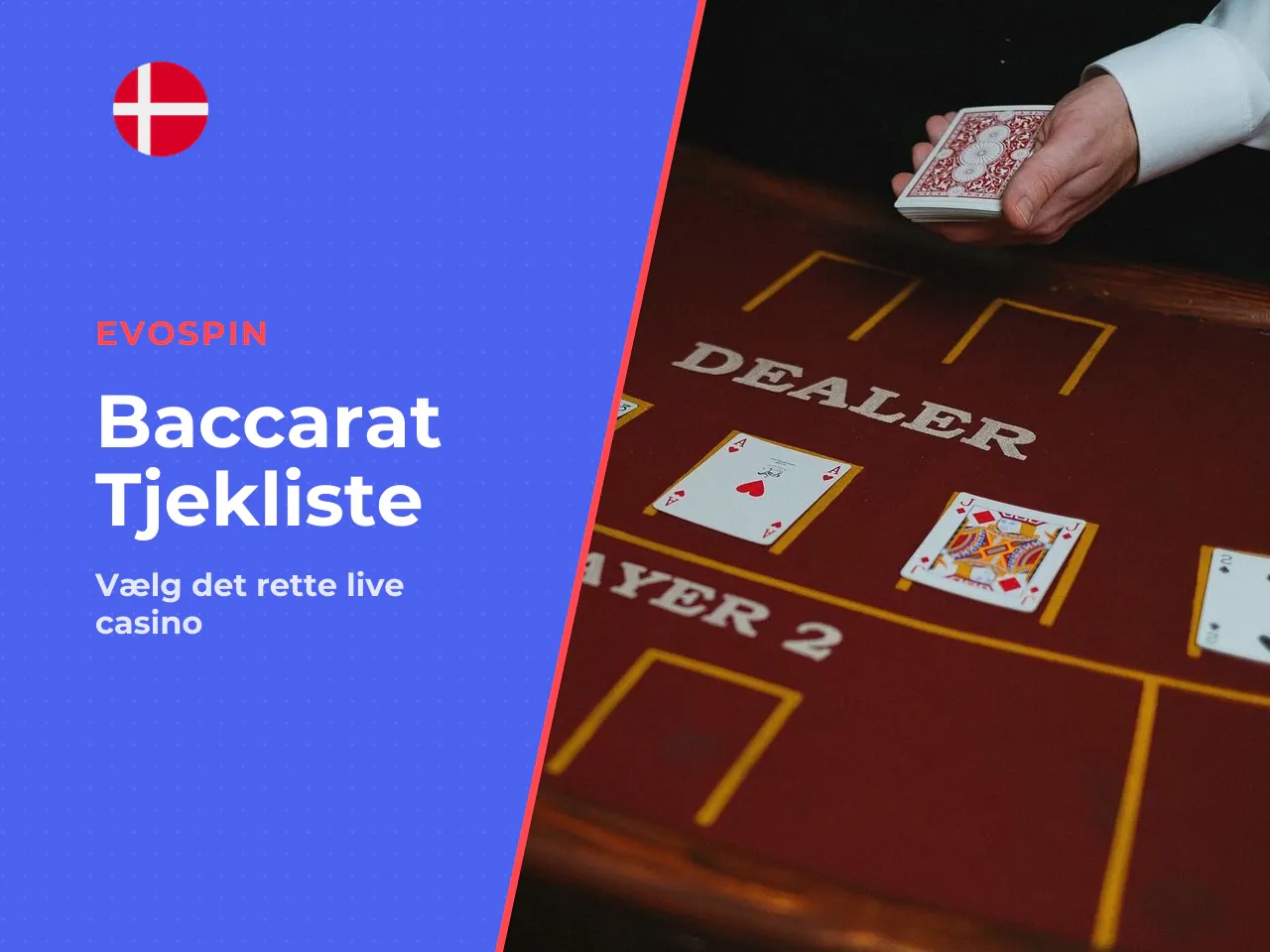 FACT CHECK Tjekliste før valg af
