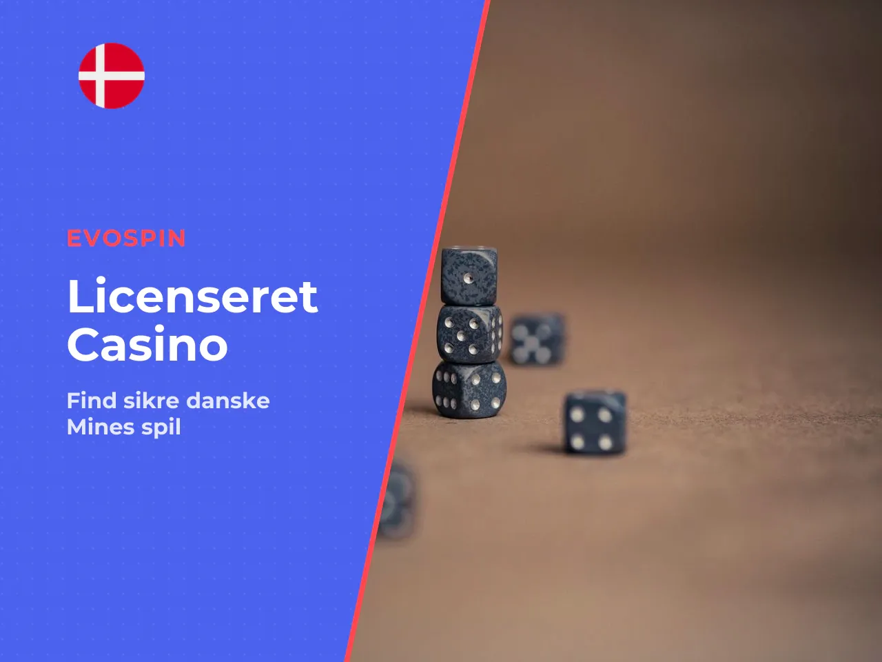 Sådan finder du et licenseret dansk