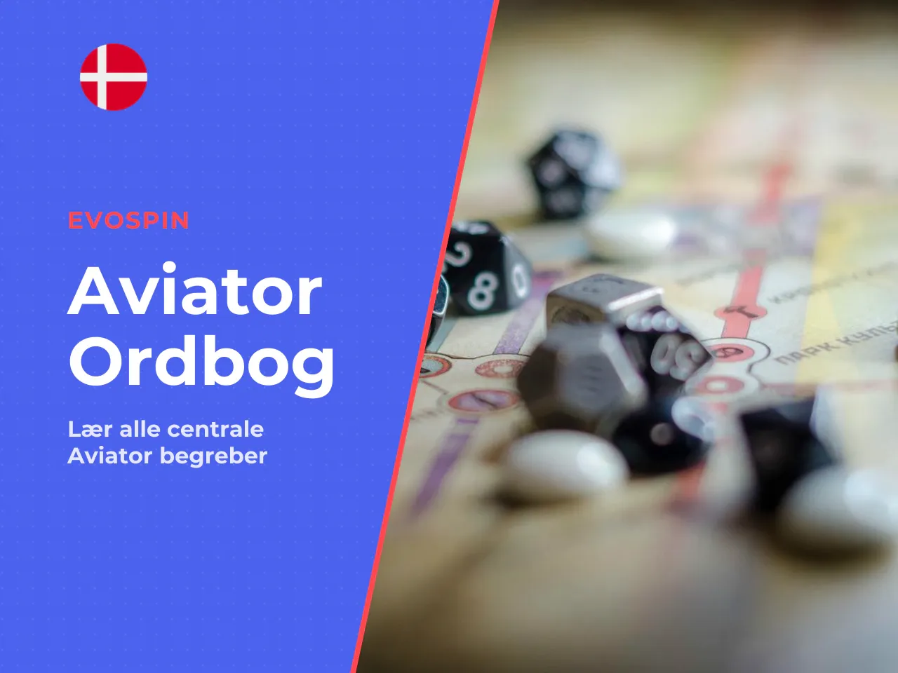 Ordliste centrale begreber i Aviator