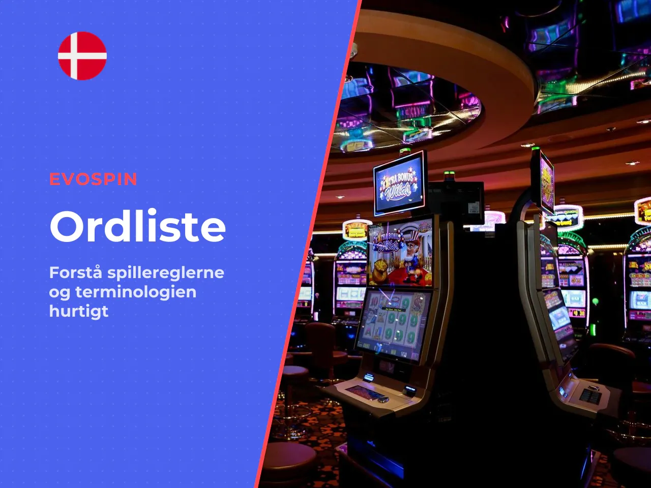 Kort ordliste begreberne du møder undervejs